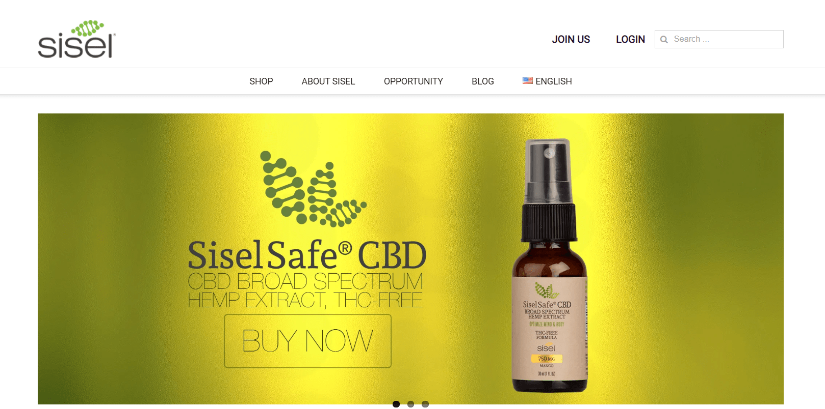 sisel website