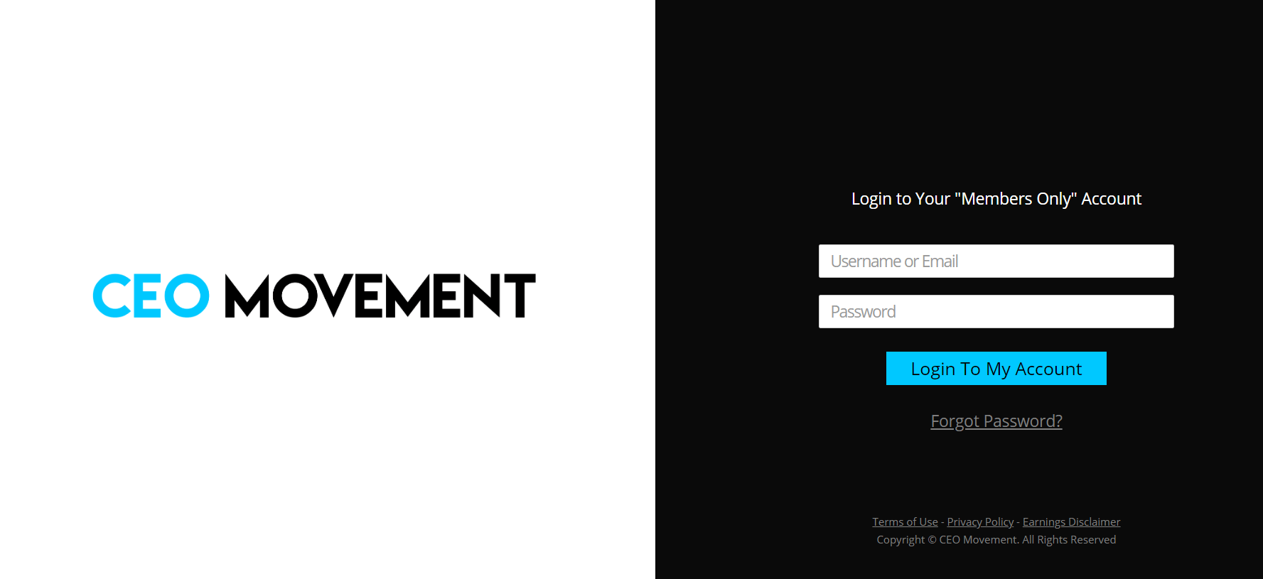 ceo movement website