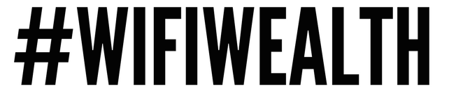 wifi wealth system logo