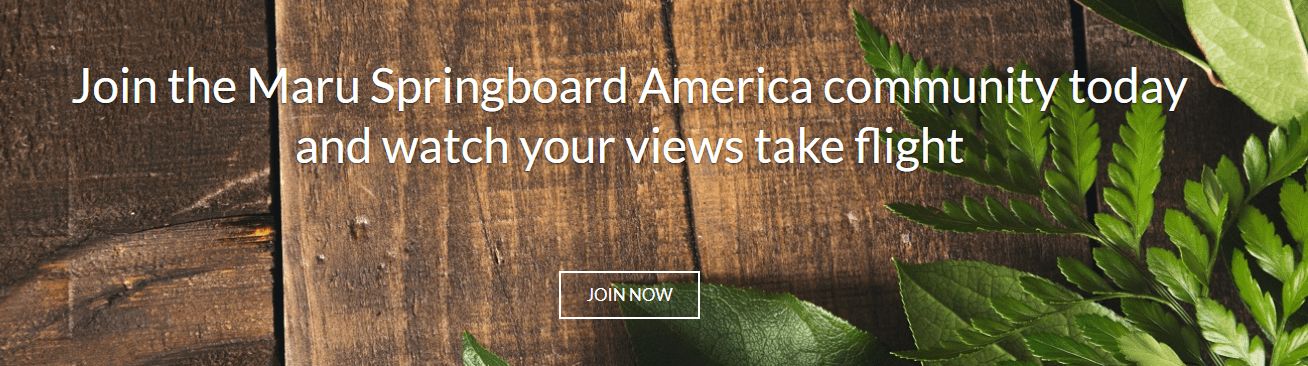 how to make money with springboard america